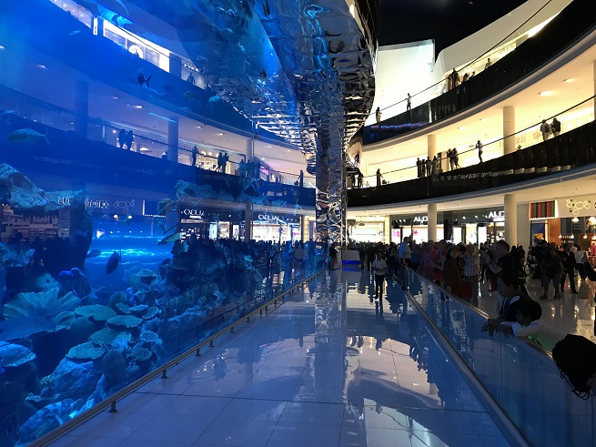 Он расположен напротив самого высокого здания в мире - небоскреба   Бурдж Халифа   и самый большой в мире фонтан -   Дубай Фуонтейн   ,  Как будто было немного записей, Dubai Mall управляет одним из крупнейших в мире аквариумов - Dubai Aquarium , где живут более 33 000 животных, а общая емкость резервуаров составляет более 10 миллионов литров воды
