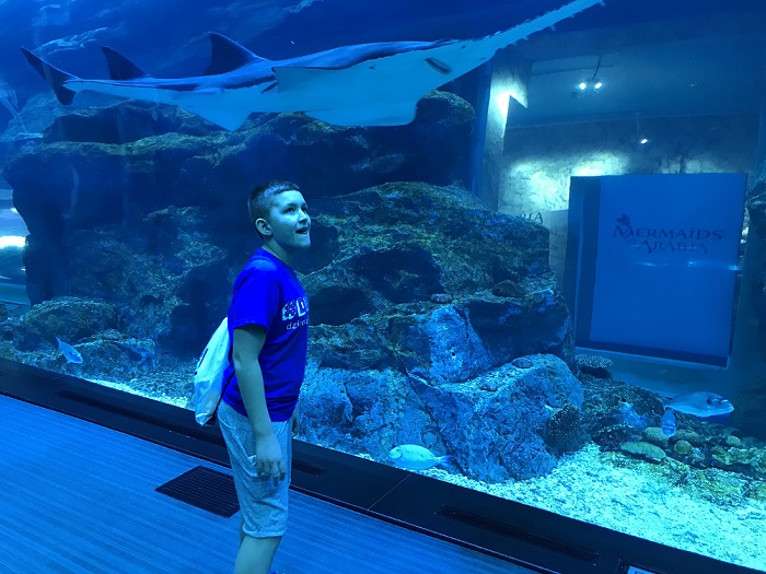 В самом популярном торговом центре Дубая находится необычный аквариум с множеством достопримечательностей